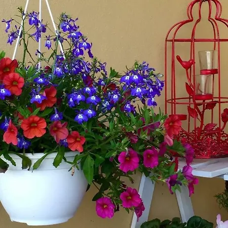 Casa De Ferias Josefa D'obidos * オビドス
