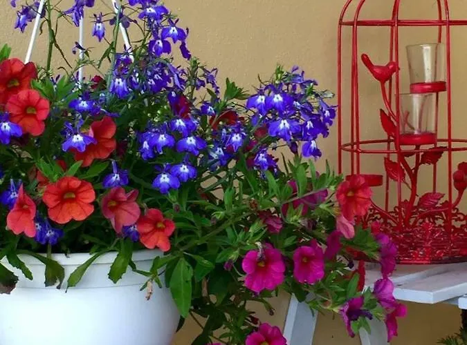 Casa De Ferias Josefa D'obidos * Obidos